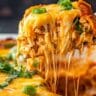 Cheesy Chicken Tamale Casserole Recipe